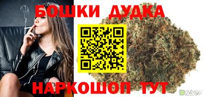 прущие грибы Партизанск