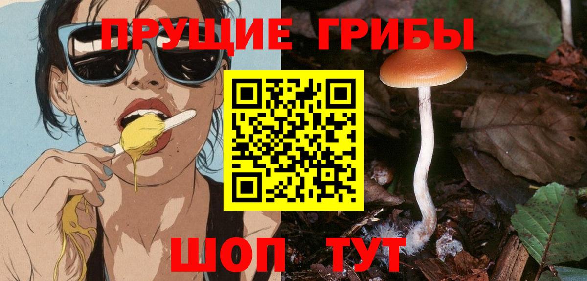 Галлюциногенные грибы Psilocybine cubensis  Вход с VPN  Солнечногорск  Псилоцибиновые грибы GOLDEN TEACHER 